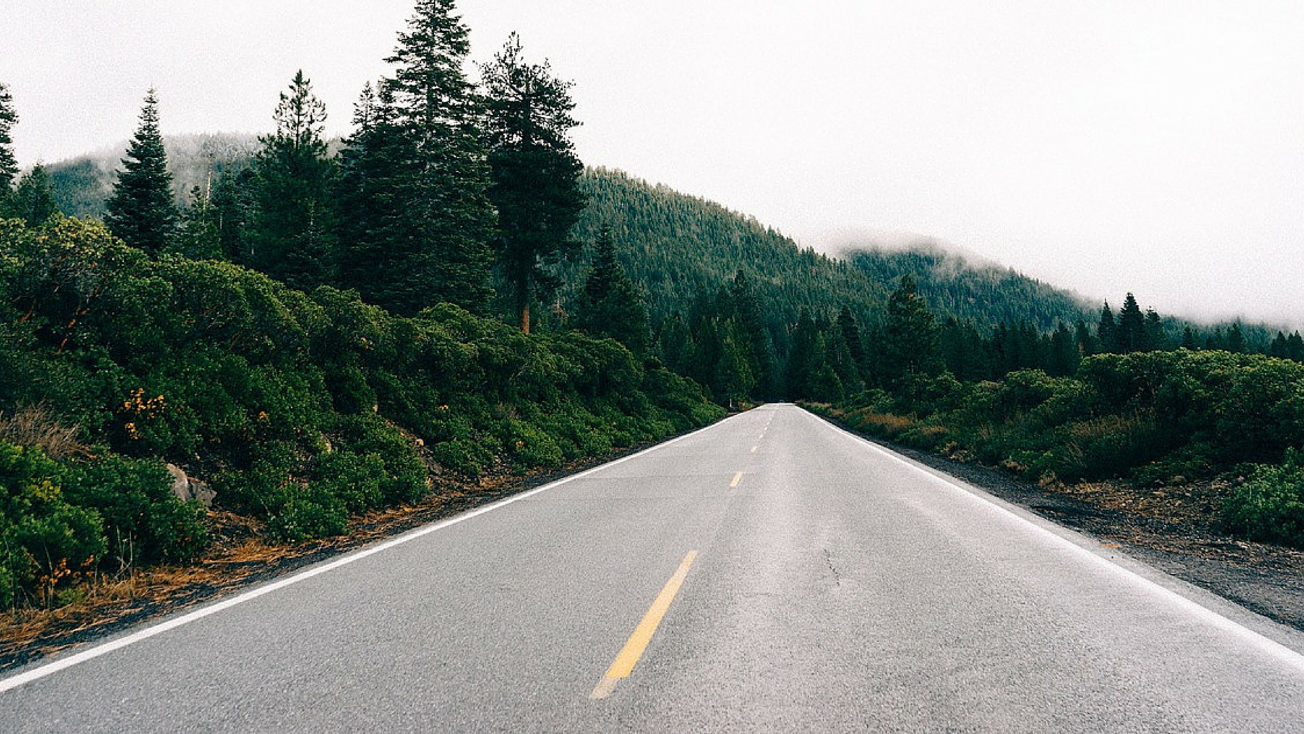 5 Ways to Release Fear of the Unknown When Taking the Road Less Traveled